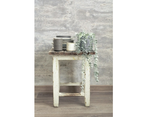 Dekorative Szene mit Geschirr, Topfpflanze und Hocker