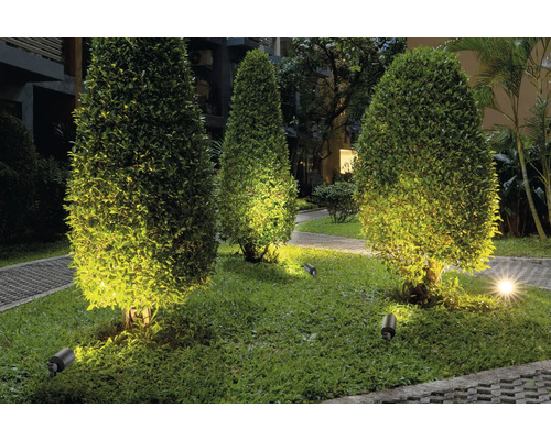 Aménagement paysager de jardin avec éclairage d''arbustes