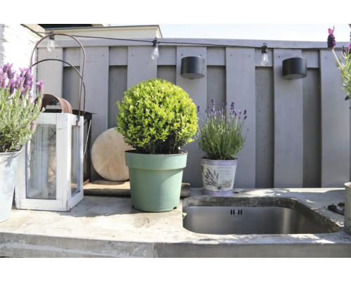 Aussenbereich mit Pflanzgefässen, Aussenleuchten und Spülbecken