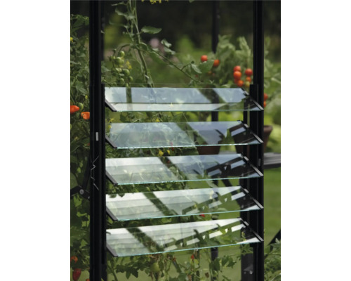 Gewächshausfenster mit Lamellen zur Belüftung im Garten.