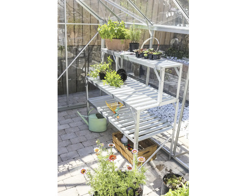 Serre avec étagère à trois niveaux, plantes et accessoires de jardin.