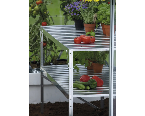 Étagère de serre à deux niveaux en aluminium avec légumes et herbes aromatiques