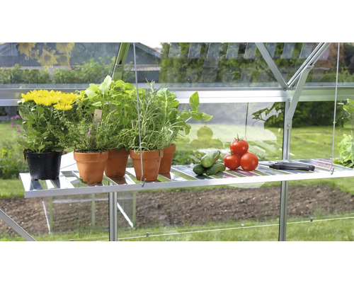 Gewächshaus mit Pflanzen, Kräutern, Tomaten und Gurken auf einem Regal.