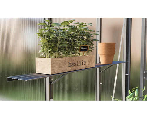 Basilikum in Holzkiste mit Kräutertafel und Stapel Tontöpfe auf einem Regal im Gewächshaus