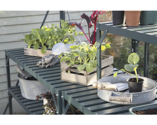 Étagère de jardin avec plantes, arrosoir et outils de jardinage dans une serre.