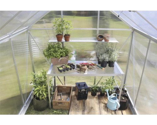 Innenansicht eines Gewächshauses mit Pflanzen auf Regalen und einem Tisch