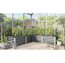 Gewächshaus mit Hochbeeten aus Metall, bepflanzt mit Tomatenpflanzen, Gartengeräten und Holzboden