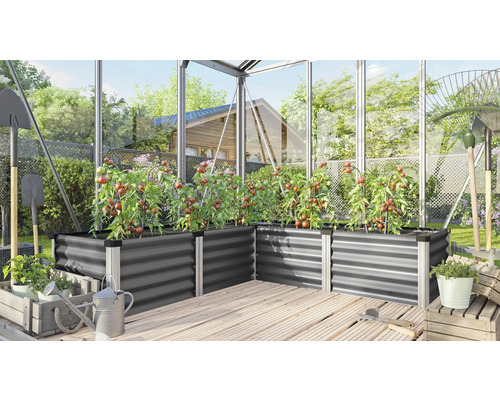 Serre avec des plates-bandes surélevées en métal, plantées de plants de tomates, d''outils de jardinage et d''un plancher en bois