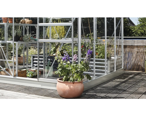 Serre avec des plantes sur des étagères et un pot de fleurs au premier plan