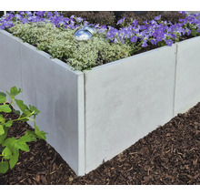 Hochbeet aus Beton mit blühenden Pflanzen im Garten.