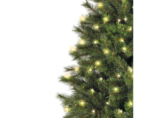Gros plan d'un sapin de Noël vert avec des lumières