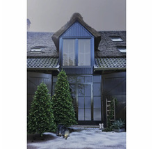 Façade de maison avec toit de chaume, deux sapins de Noël illuminés et éclairage extérieur décoratif pour une ambiance de Noël.