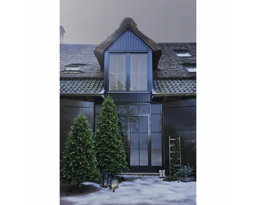 Façade de maison avec toit de chaume, deux sapins de Noël illuminés et éclairage extérieur décoratif pour une ambiance de Noël.