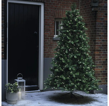 Sapin de Noël artificiel avec lumières devant une maison