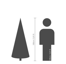 Comparaison de taille : arbre et personne, tous deux mesurant 180 cm