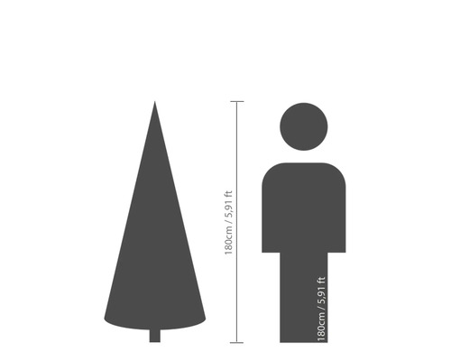 Comparaison de taille : arbre et personne, tous deux mesurant 180 cm