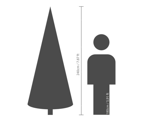 Comparaison de taille : sapin de Noël (240 cm) et humain (180 cm)