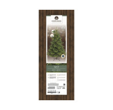 Sapin Everlands Alba, arbre de Noël artificiel illuminé, hauteur 2.1 mètres