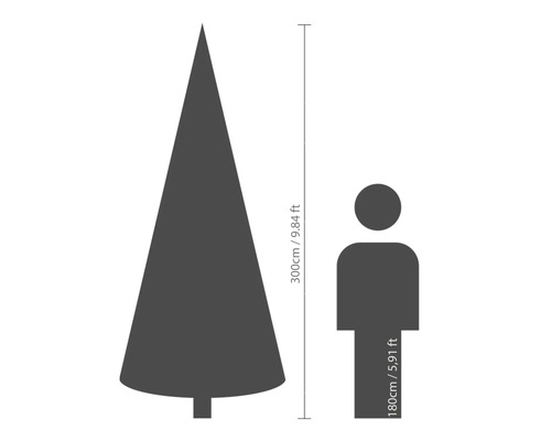 Größenvergleich: Weihnachtsbaumhöhe 300 cm, Personengröße 180 cm