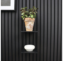 Wandregal mit Pflanze im Terrakottatopf und Dekoschale