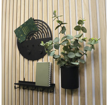 Wanddekoration mit Hakenleiste, Memohalter und Topfpflanze