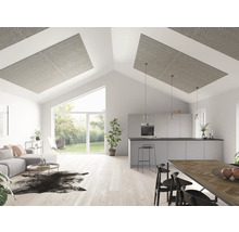 Espace de vie lumineux avec cuisine ouverte, panneaux de plafond, coin salon et coin repas