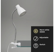 Lampe à pince blanche avec bras flexible et lumière blanc chaud 3000K