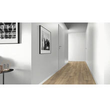 Couloir lumineux avec sol stratifié, portes et tableaux muraux