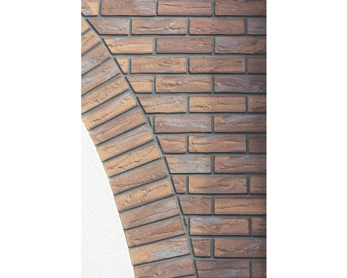 Détail d''un mur en briques avec des briques en demi-cercle