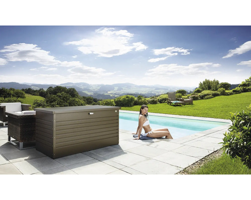 Caisse de rangement biohort coffre de jardin 160, de 160 x 79 x 83 cm bronze métallique
