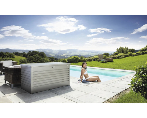 Caisse de rangement Biohort FreizeitBox 160, 160x79x83 cm gris quartz-métallique