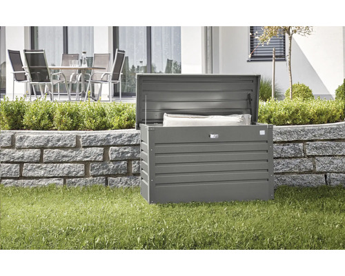 Caisse de rangement Biohort FreizeitBox 100, 101x46x61 cm gris quartz-métallique