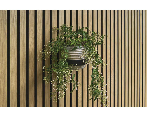 Mur décoratif avec panneaux en bois et plante en pot