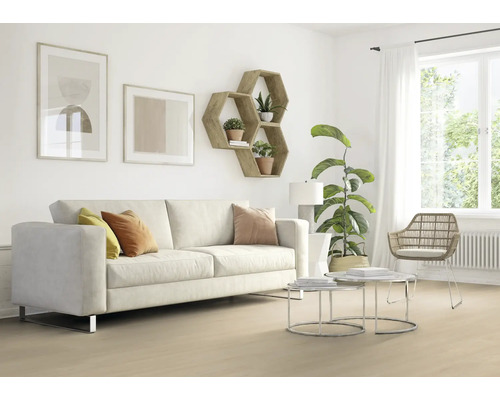 Salon lumineux avec canapé, étagères et décorations