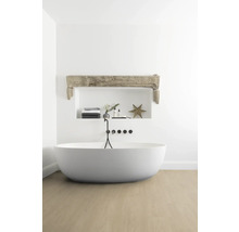 Salle de bains avec baignoire îlot, espace de rangement et éléments décoratifs pour une ambiance claire et spacieuse