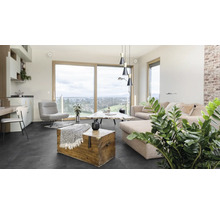 Salon avec canapé, fauteuil, table et coffre en bois sur sol foncé