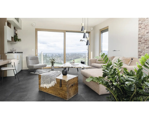 Salon avec canapé, fauteuil, table et coffre en bois sur sol foncé