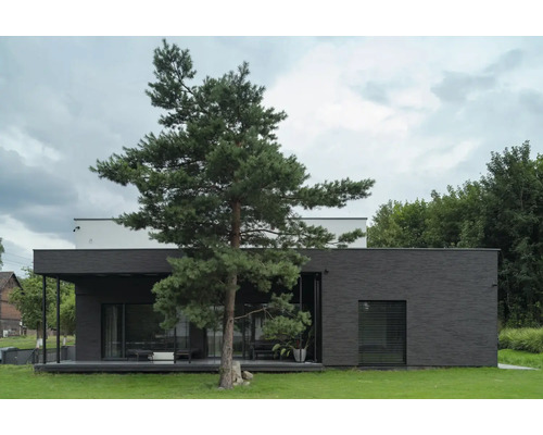 Modernes Haus mit dunkler Fassade und Baum im Vorgarten.