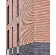 Pierre de parement sable Elabrick Gdansk 4 x 37 cm rouge