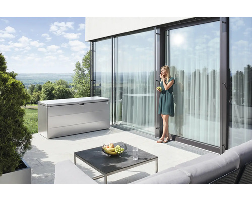Boîte de rangement StyleBox taille 170 Biohort 684 l 170 x 70 x 81 cm argent métallique