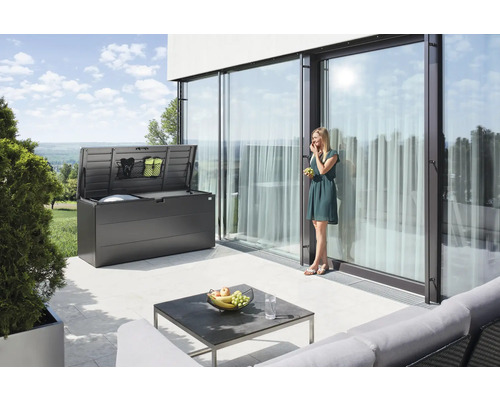 Boîte de rangement StyleBox taille 170 Biohort 684 l 170 x 70 x 81 cm gris foncé métallique