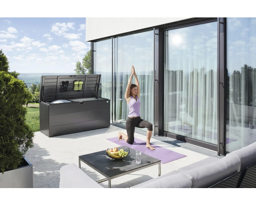 Boîte de rangement StyleBox taille 210 Biohort 973 l 207 x 80 x 81 cm gris foncé métallique