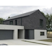 Maison moderne avec garage et jardin