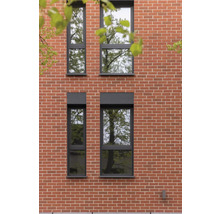 Façade avec quatre fenêtres à cadre foncé