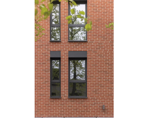 Façade avec quatre fenêtres à cadre foncé