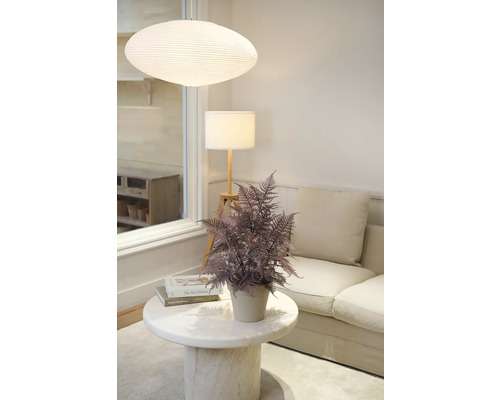 Intérieur lumineux avec plante, lampe de table et suspension