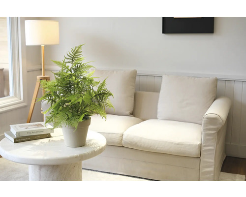 Plante d''intérieur décorative sur une table en marbre devant un canapé et un lampadaire