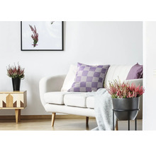 Salon lumineux avec canapé, coussins, table d''appoint et plantes d''intérieur