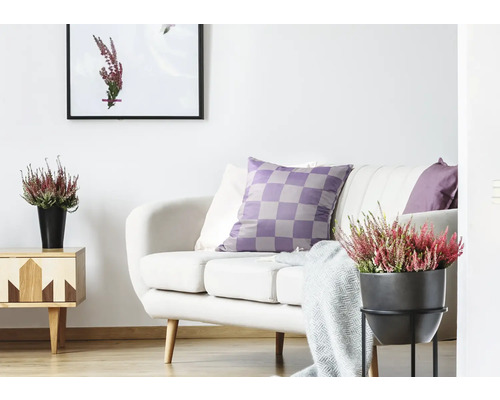 Salon lumineux avec canapé, coussins, table d''appoint et plantes d''intérieur