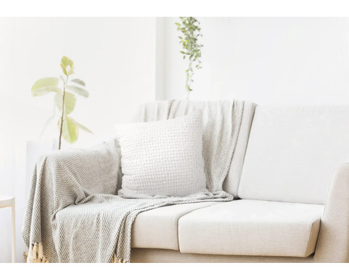 Salon lumineux avec canapé, coussin et jeté de canapé